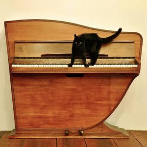 AV日韩亚洲国产一区二区综合
