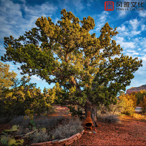 AV日韩亚洲国产一区二区综合
